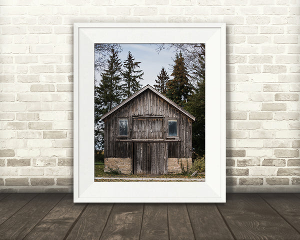 Pine Barn Photograph