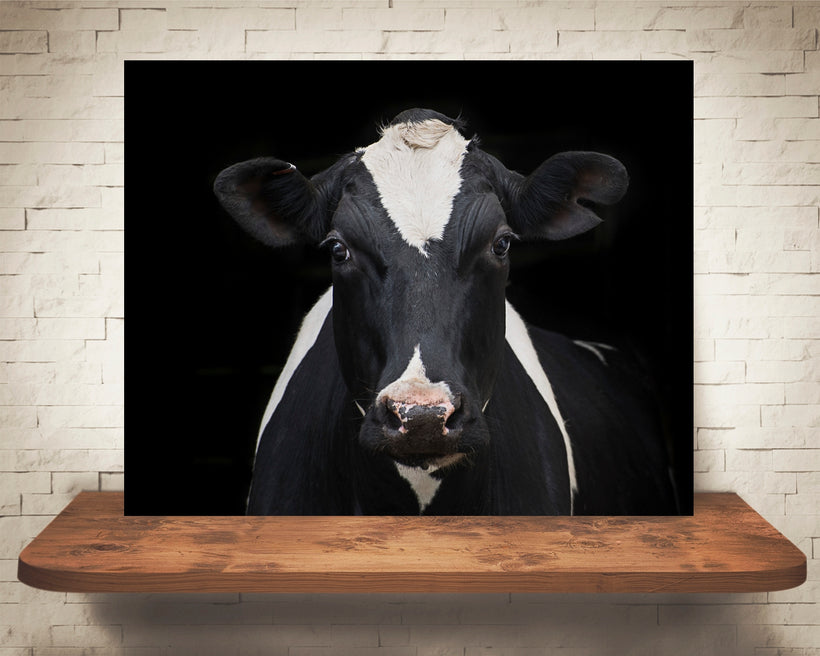 Cow Prints