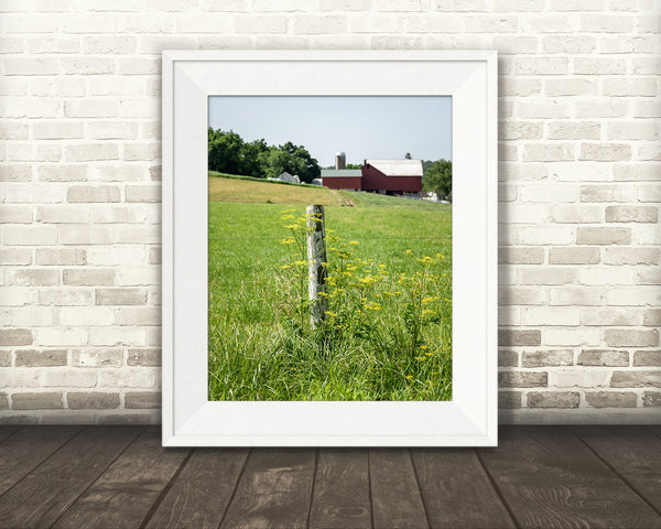 Farm Fence Photograph