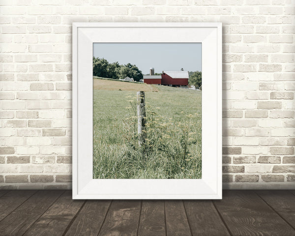 Farm Fence Photograph