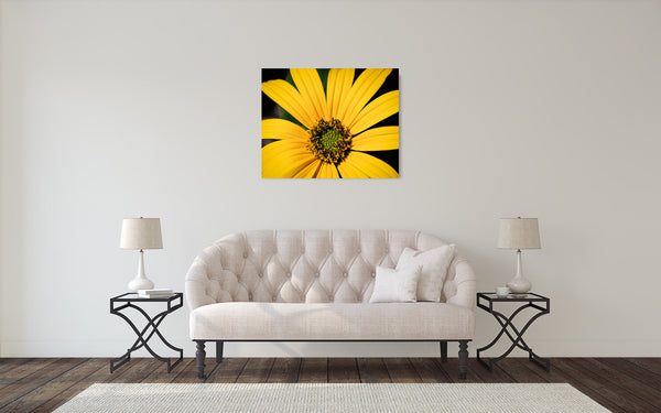 Yellow Flower Photograph