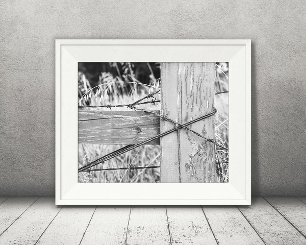 Barbed Wire Fence Photograph Black White