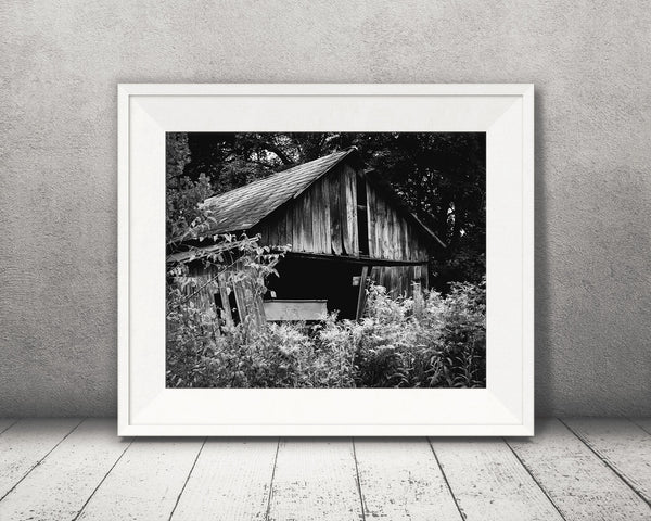 Barn Photograph Black White