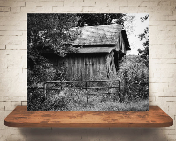 Barn Photograph Black White