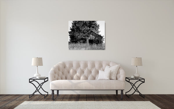 Barn Tree Photograph Black White