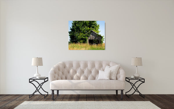 Barn Tree Photograph
