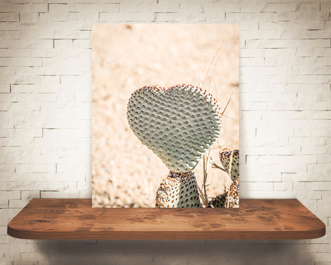 Heart Cactus Photograph