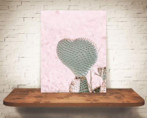 Pink Heart Cactus Photograph