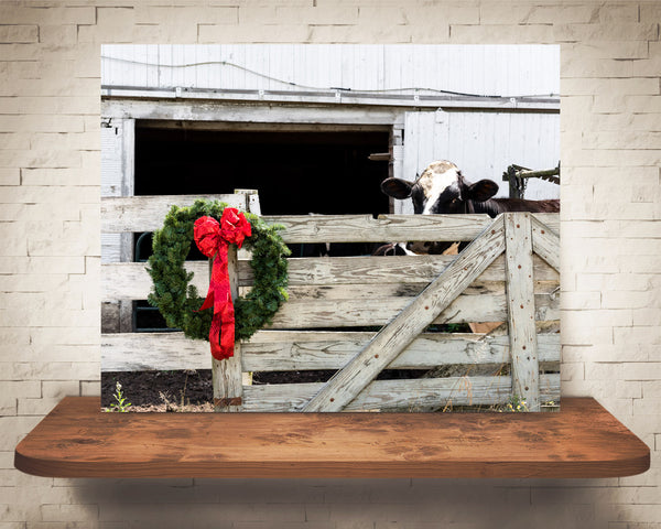 Cow Christmas Photograph