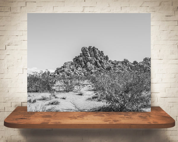 Desert Landscape Photograph Black White
