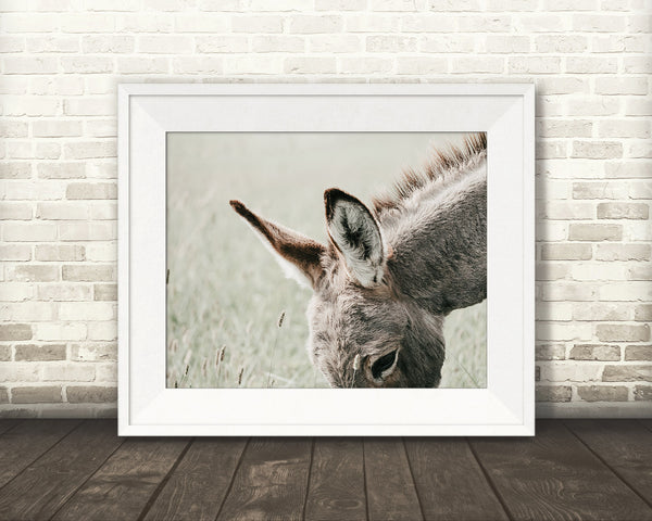 Donkey Ears Photograph