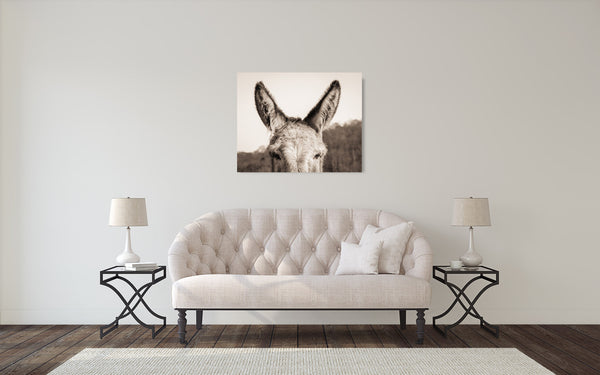 Donkey Ears Photograph Sepia