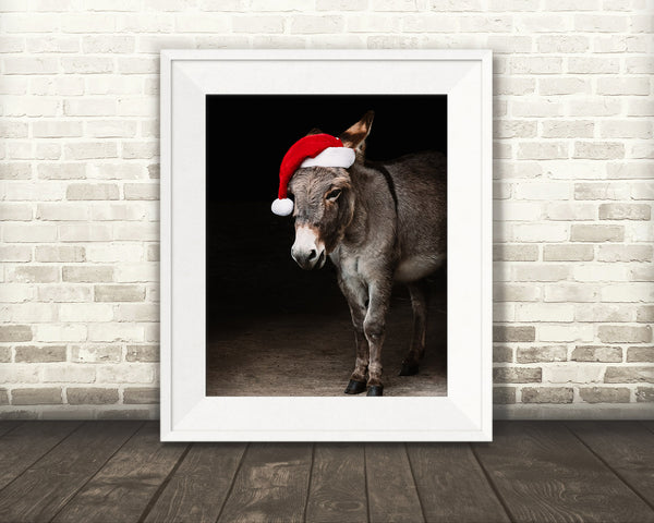 Donkey Christmas Photograph
