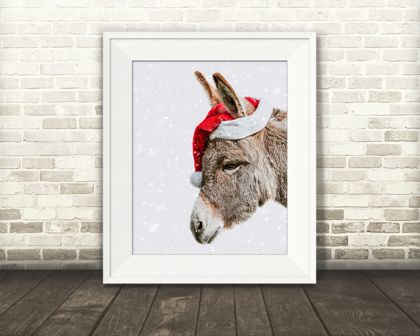 Donkey Christmas Photograph Snow