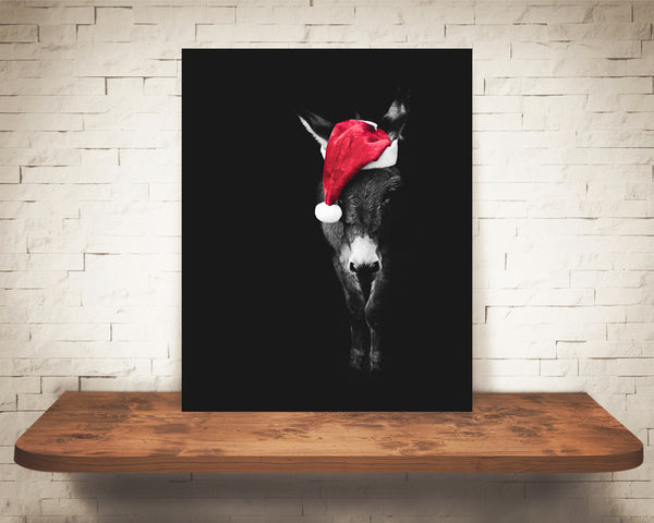 Donkey Christmas Photograph Black White Red Hat