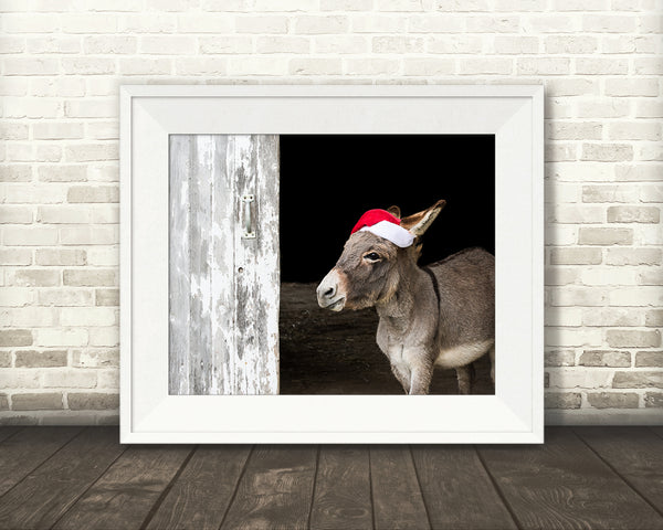 Donkey Christmas Photograph