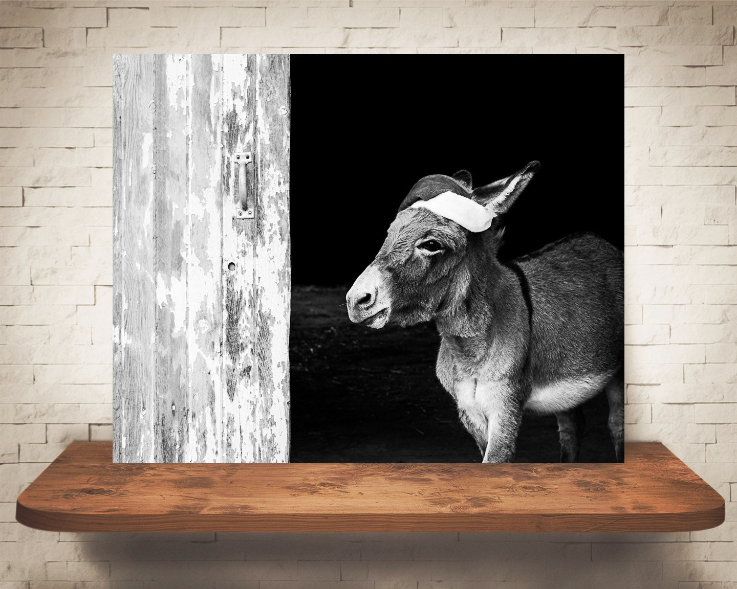 Donkey Christmas Photograph Black White
