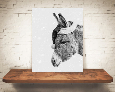 Donkey Christmas Photograph Black White Snow