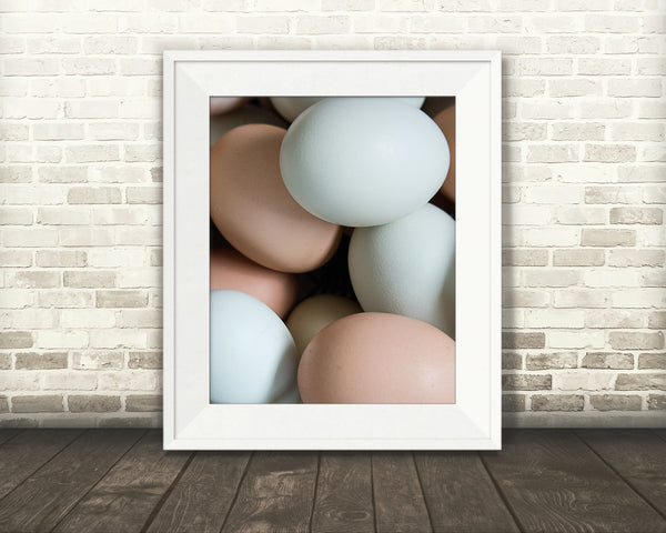 Egg Photograph