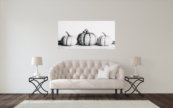 Gourd Fall Photograph Black White