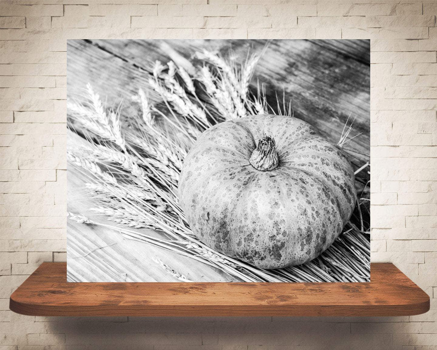 Gourd Fall Photograph Black White