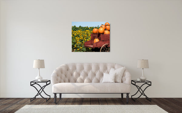 Pumpkin and Sunflower Fall Photograph