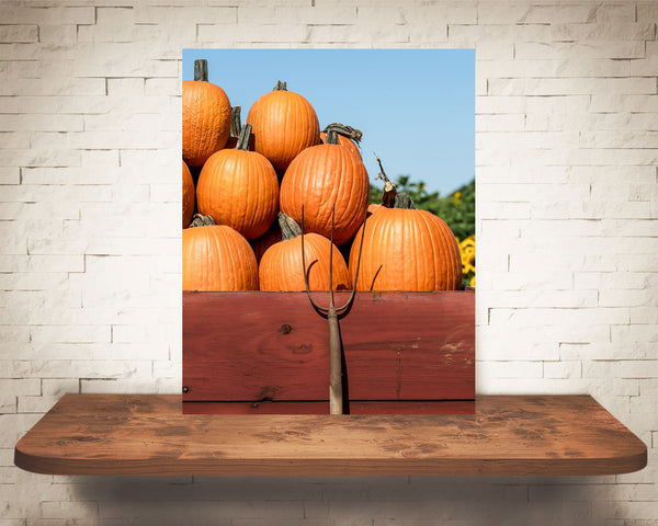Pumpkin Fall Photograph