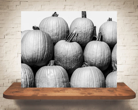 Pumpkin Fall Photograph Black White