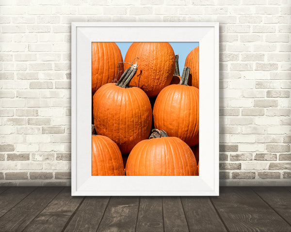 Pumpkin Fall Photograph