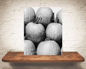 Pumpkin Fall Photograph Black White