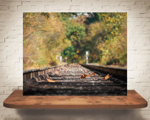 Fall Railroad Photograph