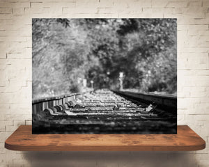 Fall Railroad Photograph Black White