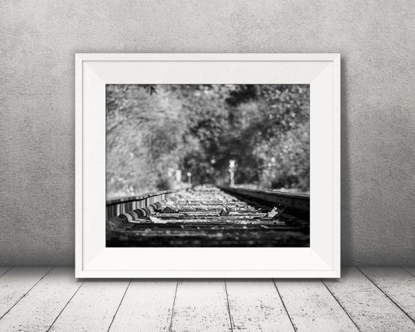 Fall Railroad Photograph Black White