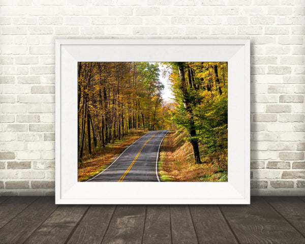 Fall Road Photograph