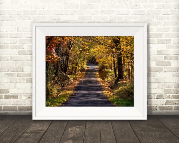 Country Road Fall Photograph