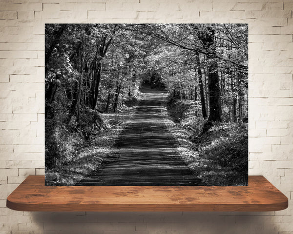Country Road Fall Photograph Black White