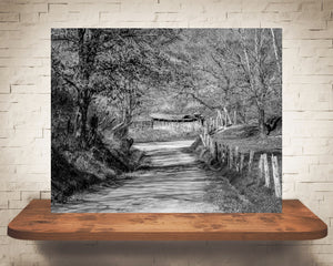 Country Road Fall Photograph Sepia Black White