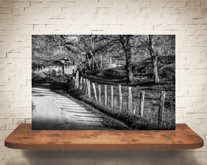 Country Road Fall Photograph Black White