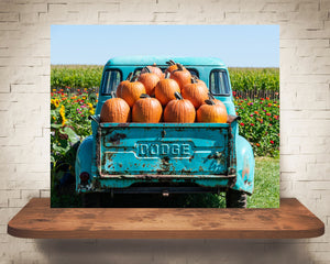 Blue Truck Pumpkins Photograph