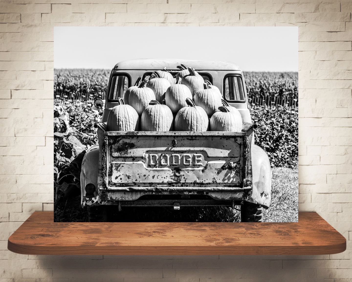 Truck Pumpkins Photograph Black White