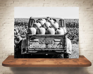 Truck Pumpkins Photograph Black White