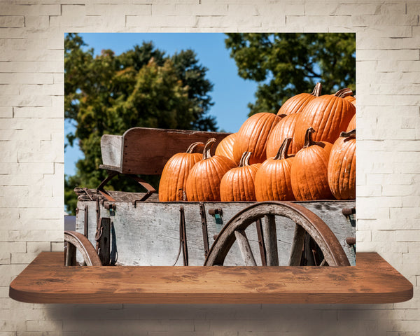 Pumpkin Wagon Fall Photograph