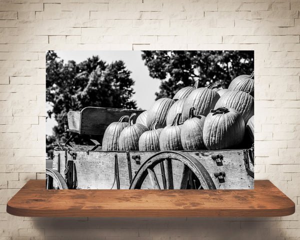 Pumpkin Wagon Fall Photograph Black White