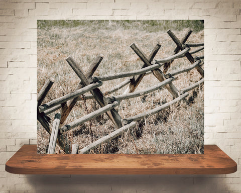 Fence Photograph