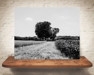 Country Farm Landscape Photograph Black White
