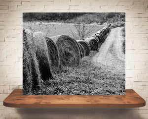 Fall Hay Bales Photograph Black White