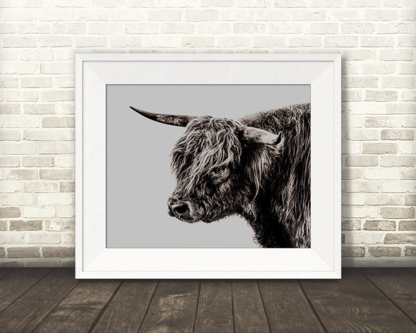 Scottish Highland Cow Photograph Brown Tone