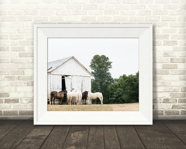 Horse Barn Photograph