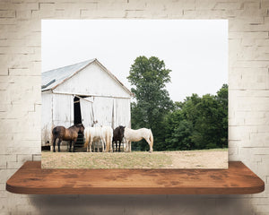 Horse Barn Photograph