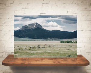 Horse Mountains Photograph